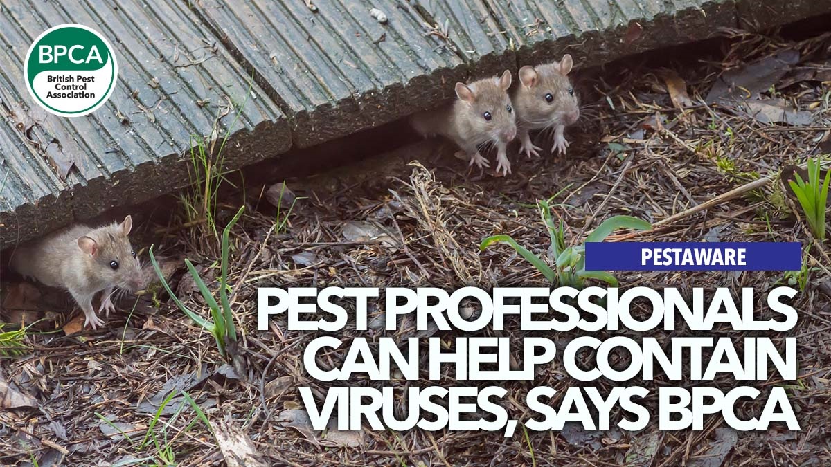 pestprofessionalshelpstopvirusesbpcacovid